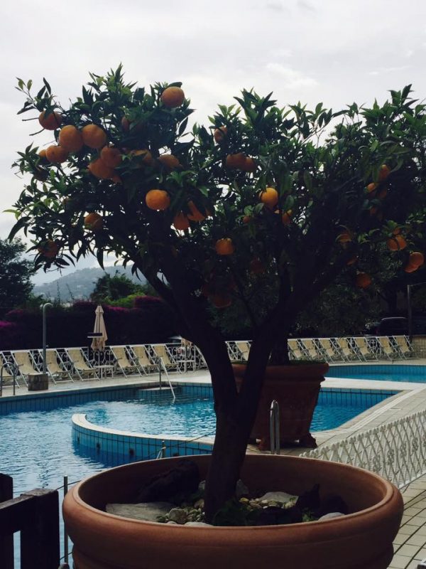 hotel in sorrento