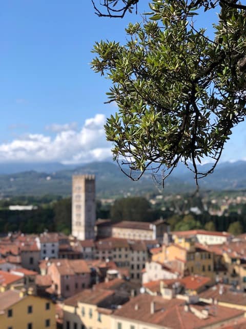 things to do in lucca