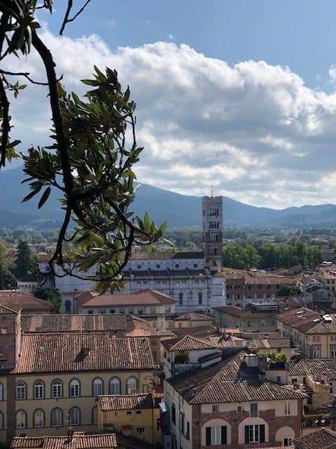 things to do in lucca