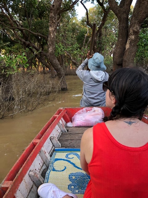 flooded forest