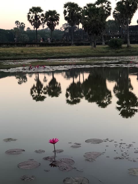 angkor wat sunrise tour