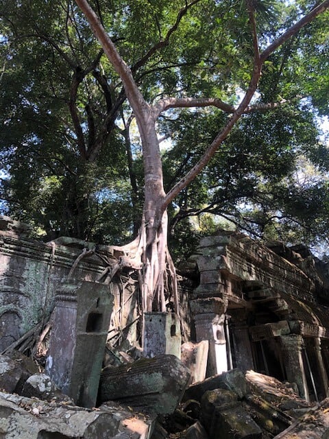 ta prohm