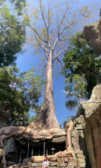 ta prohm