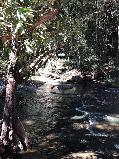 day tour to kulen waterfall