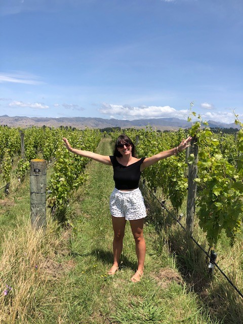 fromm vineyard