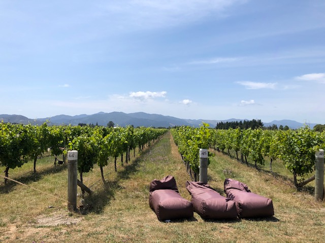 spy valley vineyard