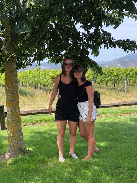 misty cove vineyard