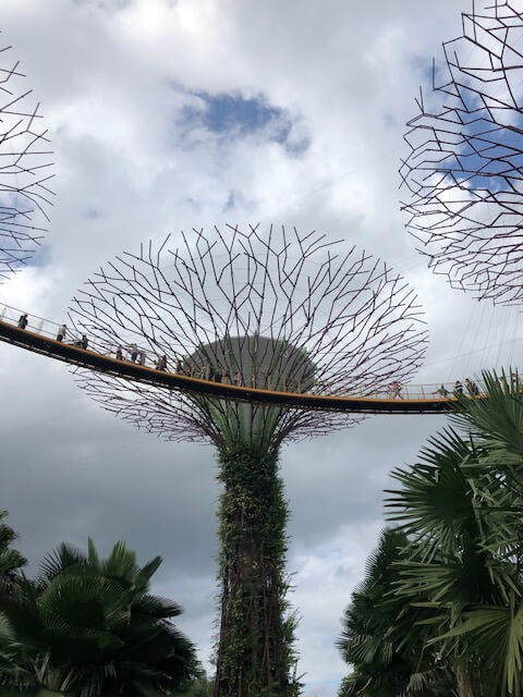 3 days in singapore