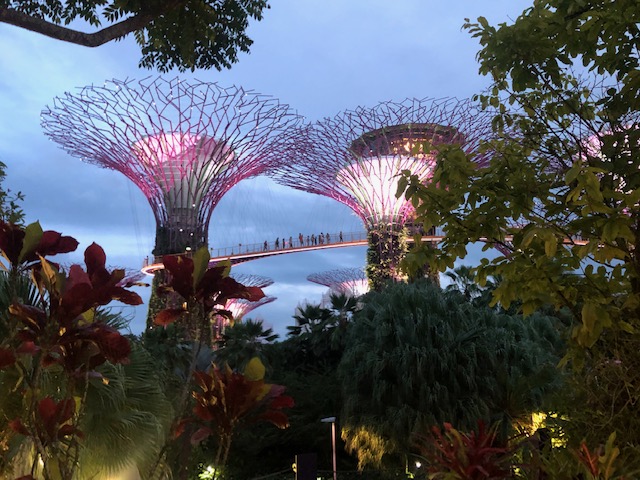 3 days in singapore