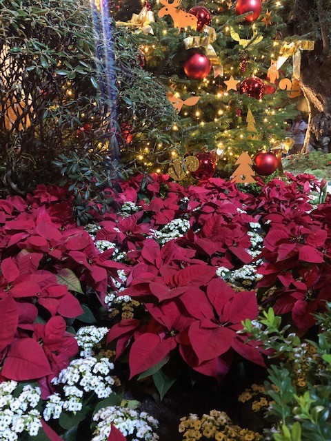 3 days in singapore