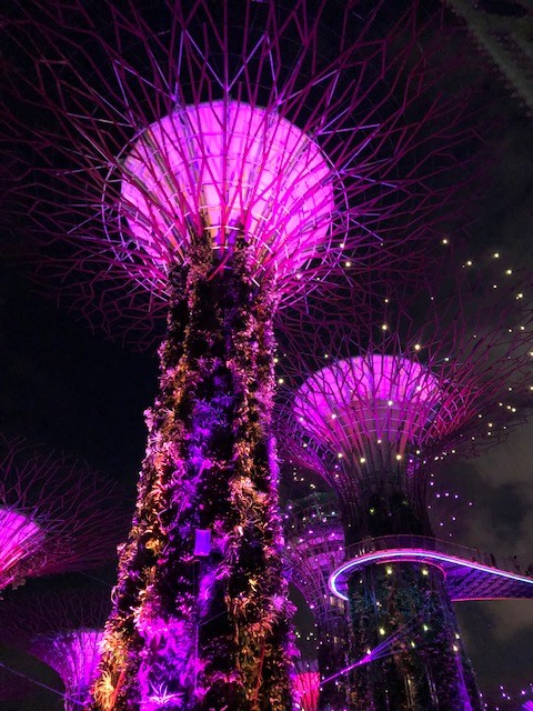 3 days in singapore