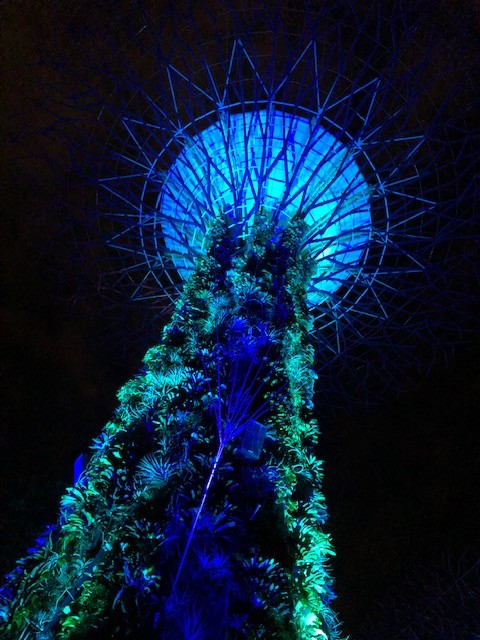3 days in singapore