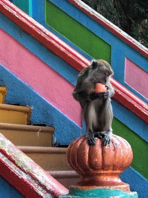 3 day kuala lumpur itinerar