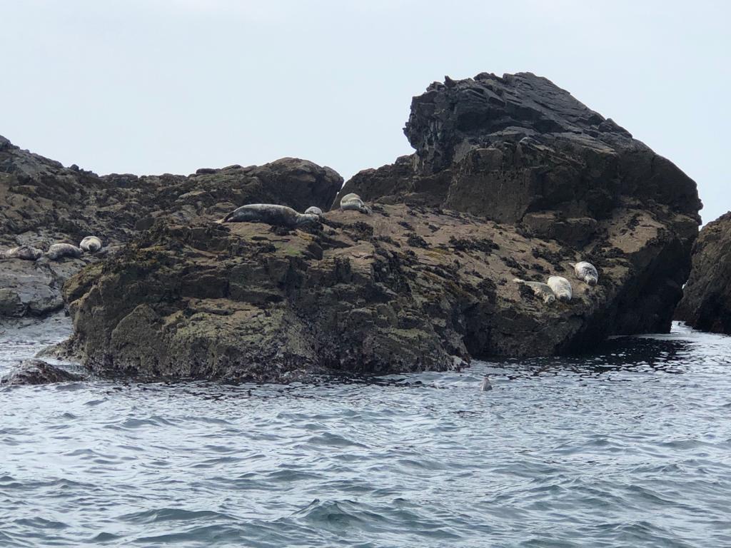 A day in St Ives