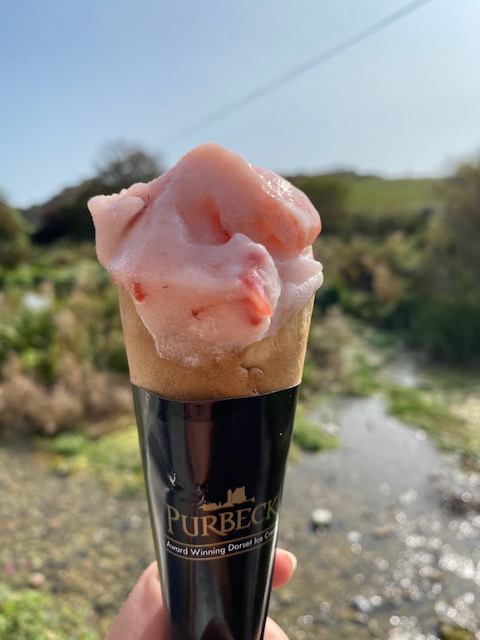 visiting durdle door