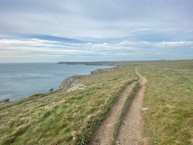 walk from lizard point to kynance cove