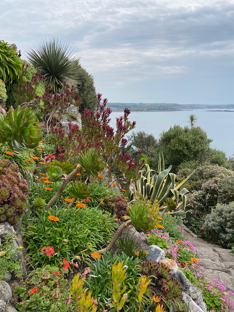 6 days in cornwall