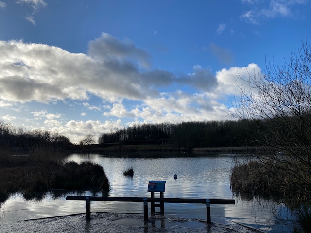 things to do near bishop's stortford
