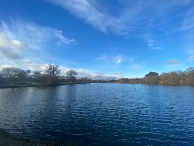 things to do in bishop's stortford