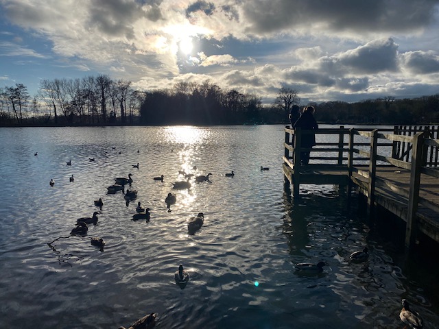 things to do in bishop's stortford