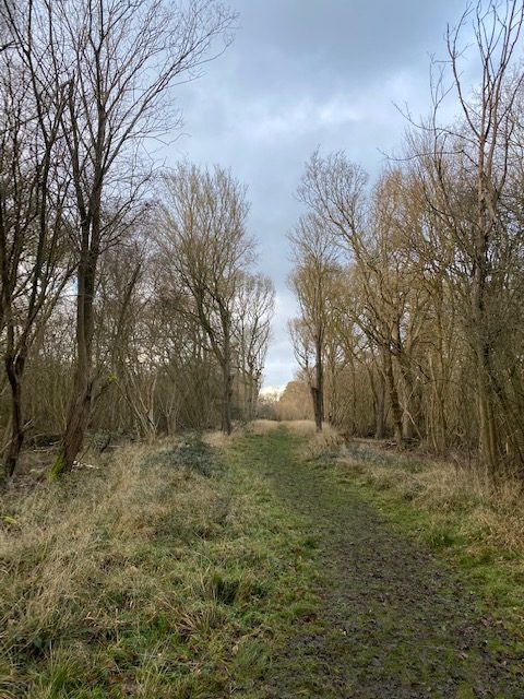 visit hatfield forest