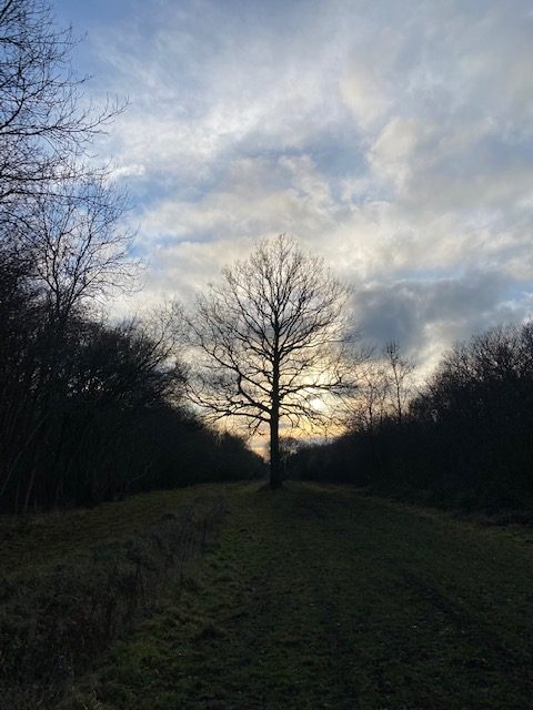 visit hatfield forest