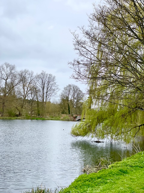 hatfield house