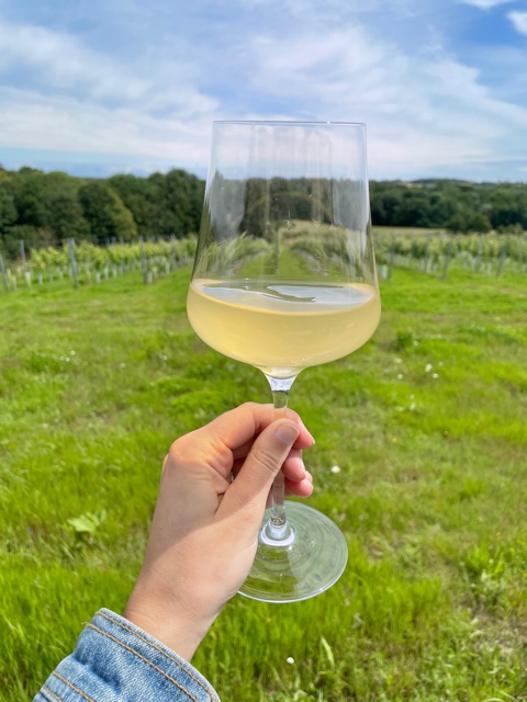 vineyard in rye
