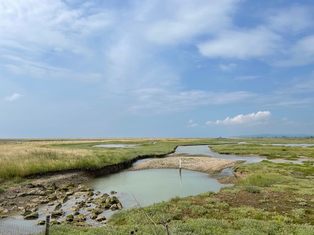 3 days in rye