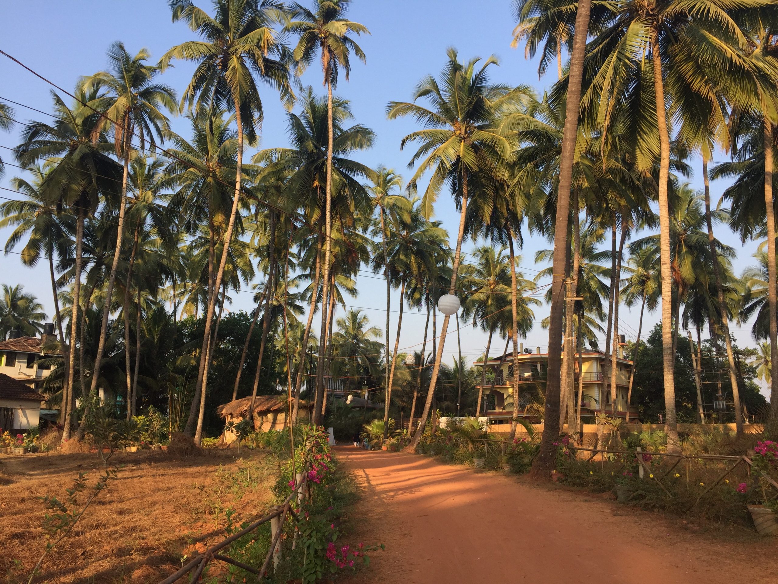 things to do in north goa