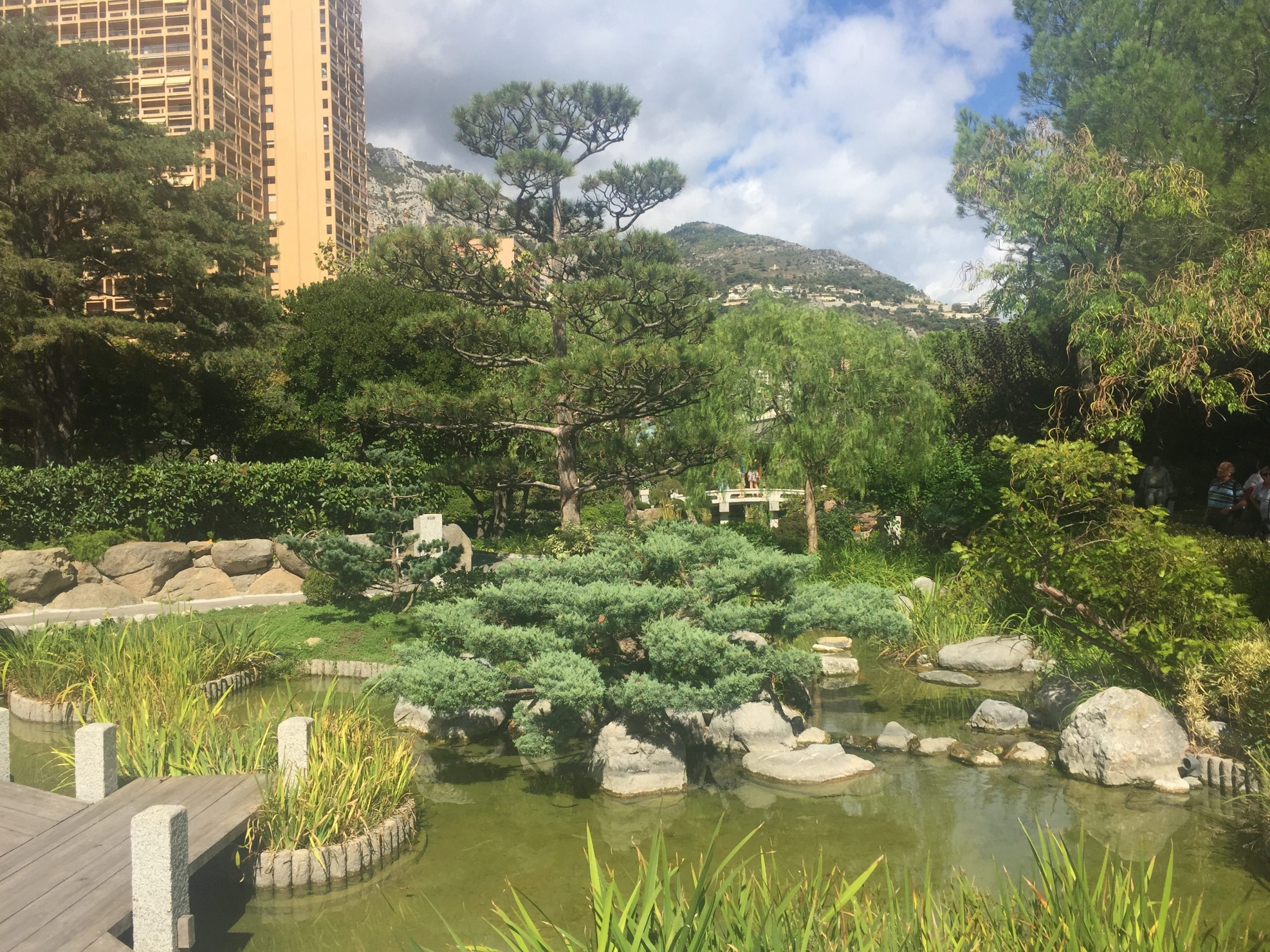 things to do in monaco