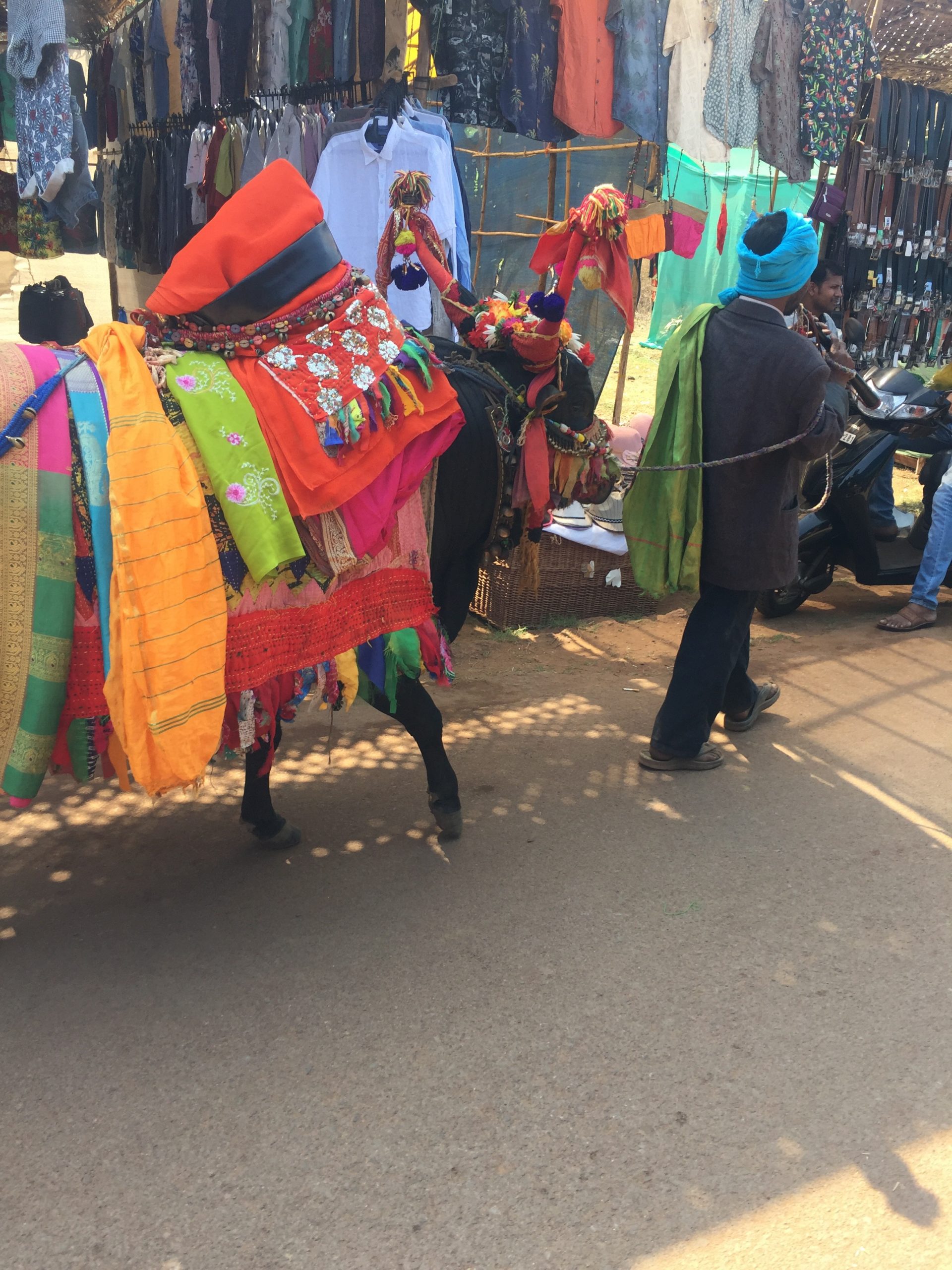 things to do in north goa