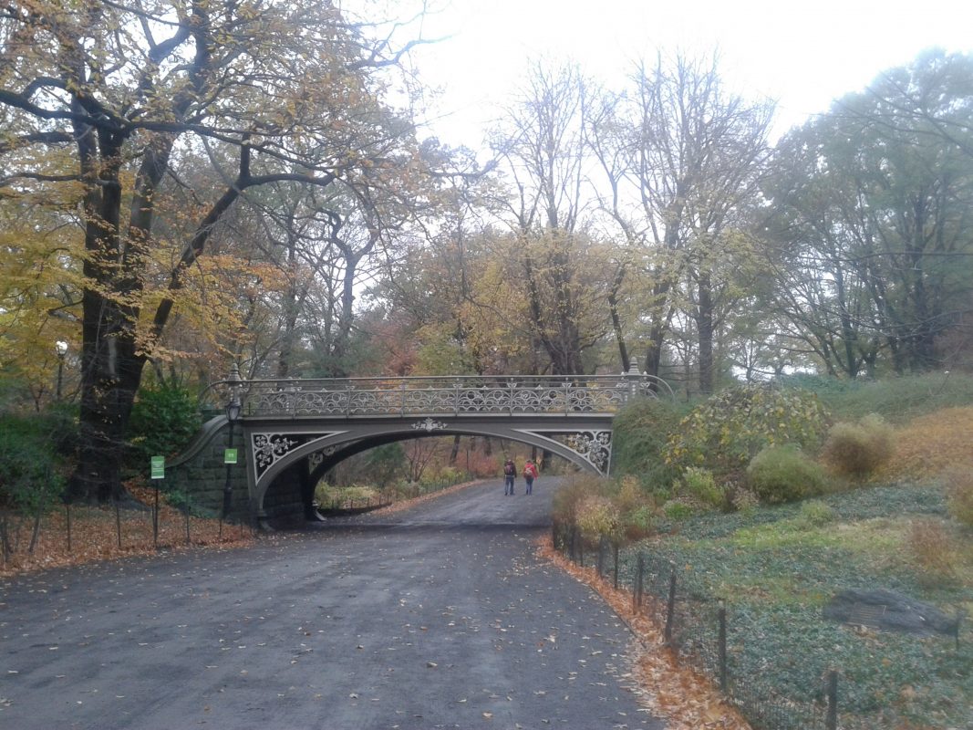 5 day new york itinerary