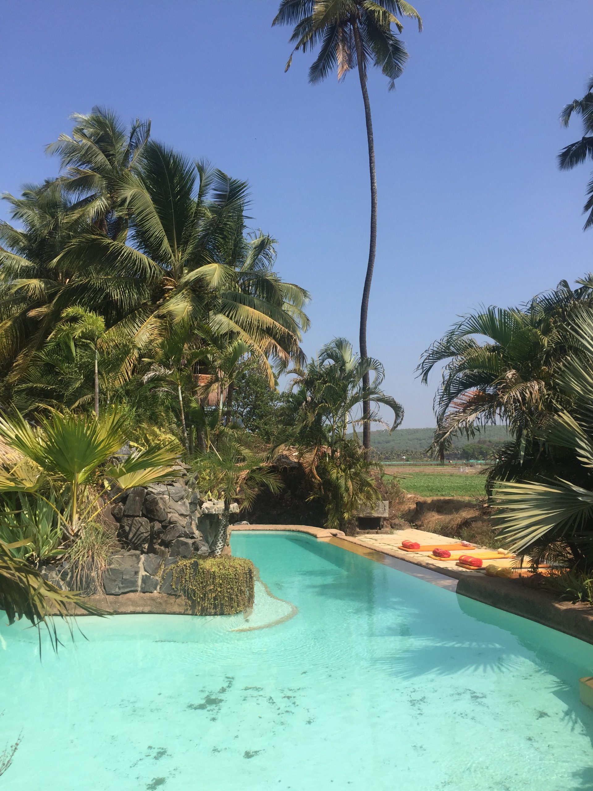yoga in north goa