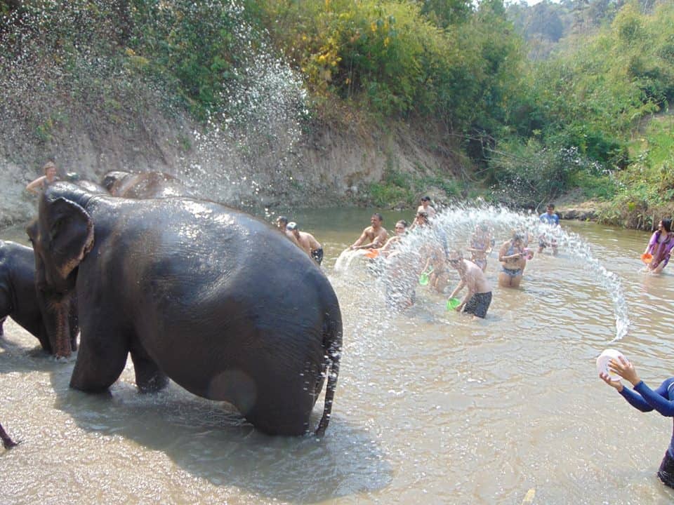things to do in chiang mai