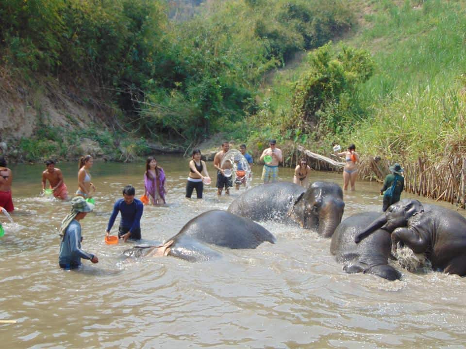 things to do in Chiang Mai