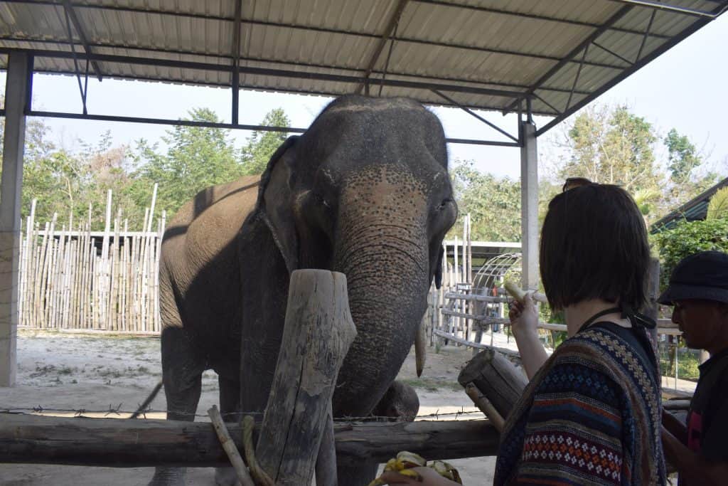 things to do in Chiang Mai