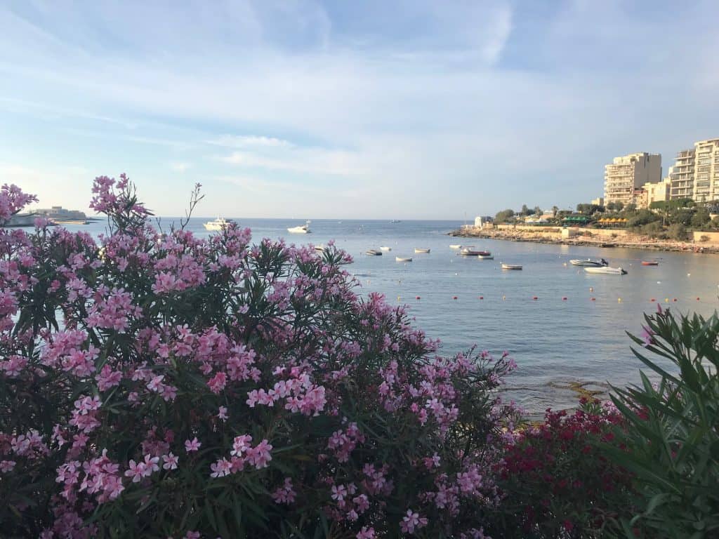 things to do in Malta