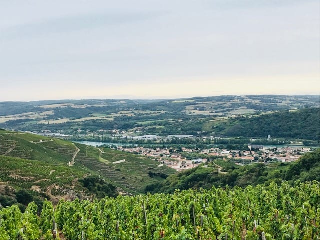 wine tour in lyon