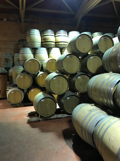 wine tour in lyon