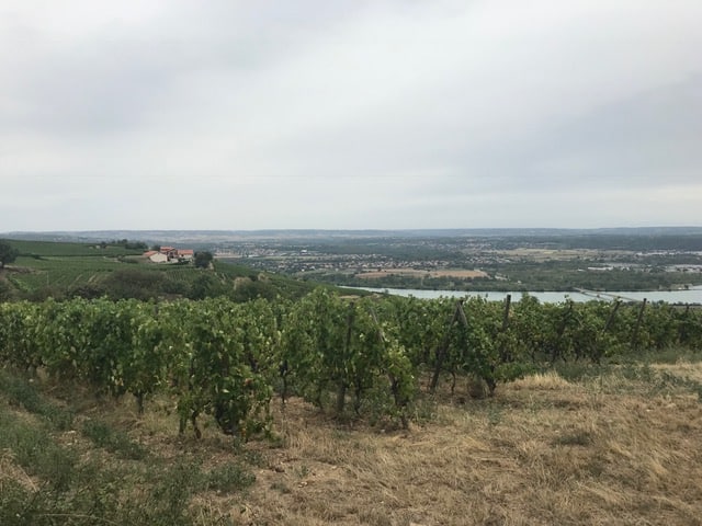 wine tour in lyon