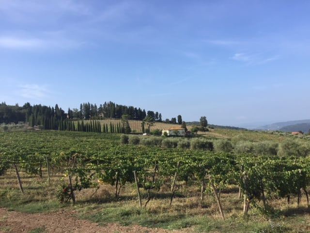things to do in florence