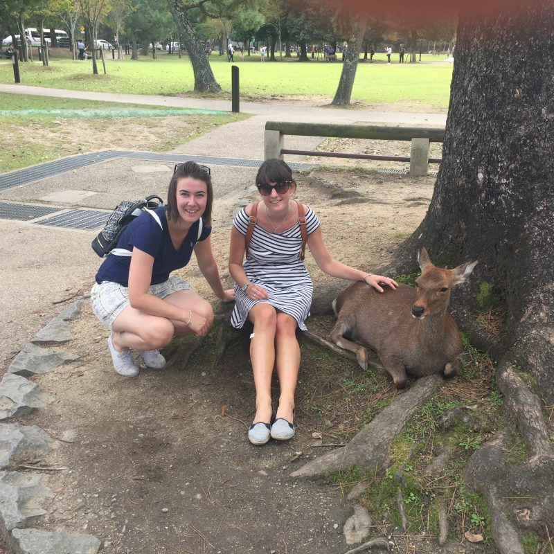 day trip to nara