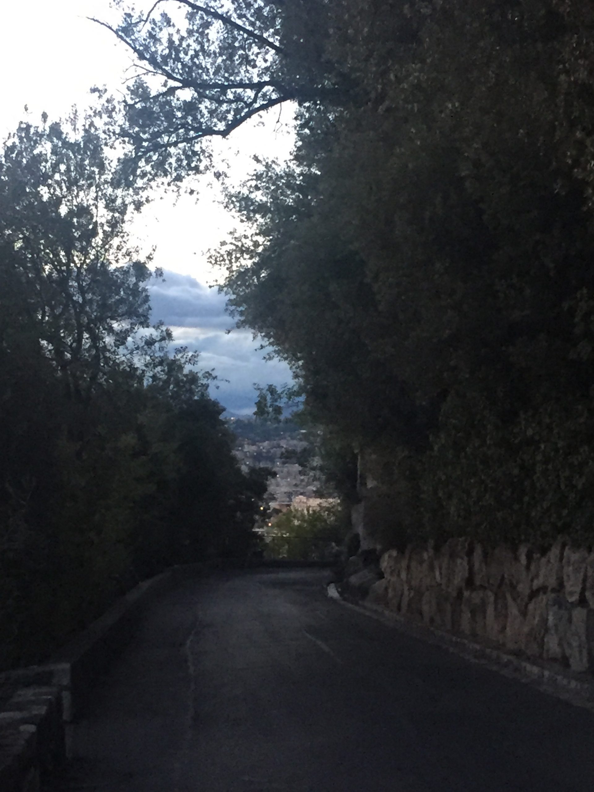 things to do in nice
