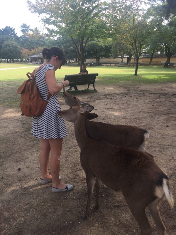 day trip to nara