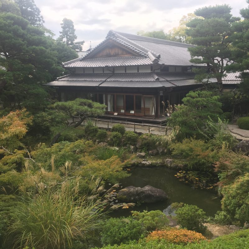 day trip to nara