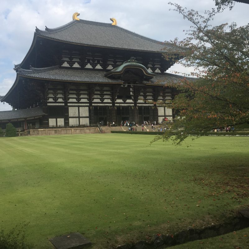 day trip to nara