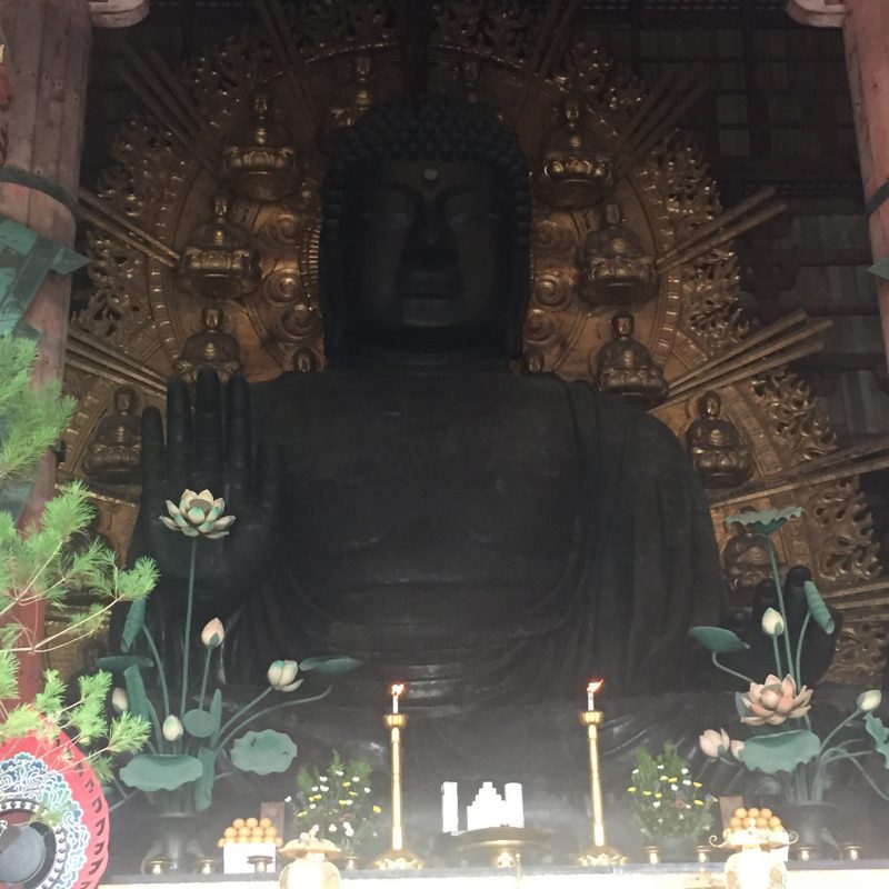 day trip to nara