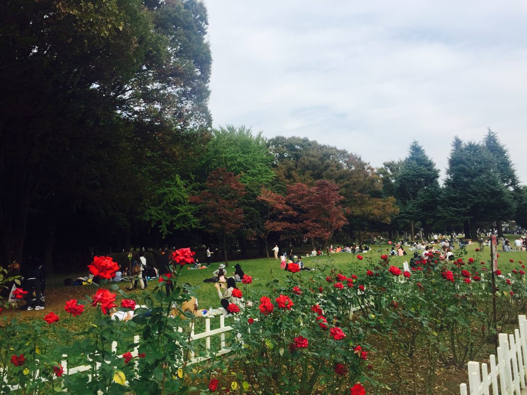 6 days tokyo itinerary
