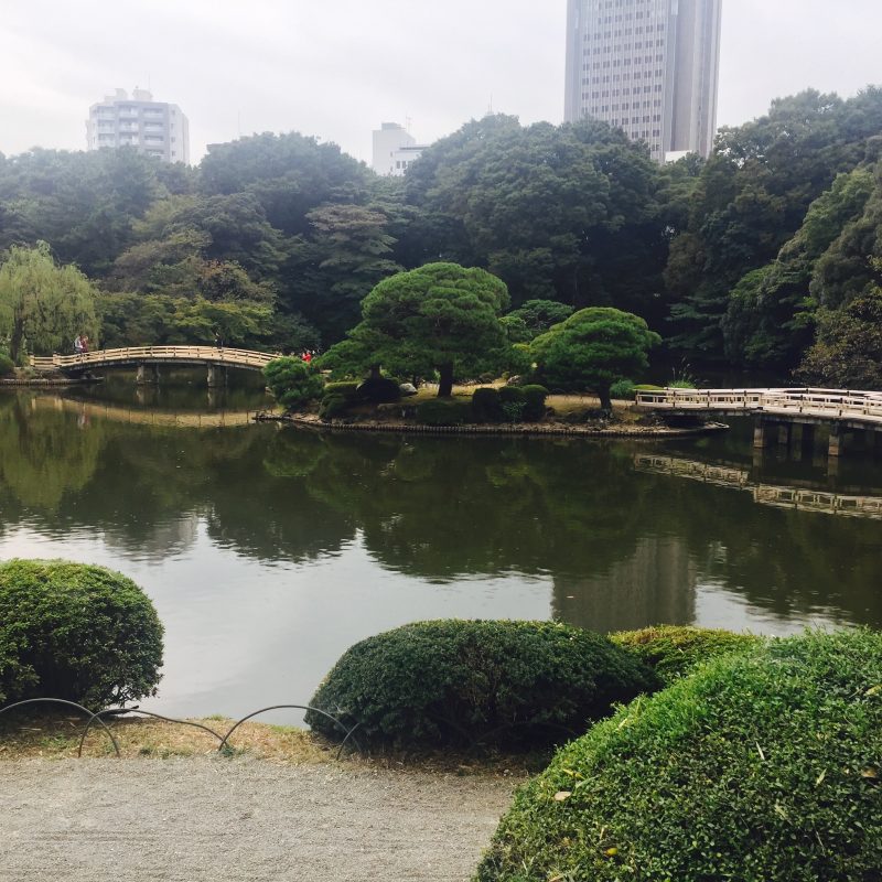 6 day tokyo itinerary
